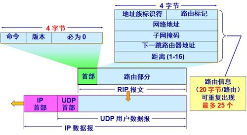 计算机网络 谢希仁版第四章节《网络层》重点解析与安装维护要点