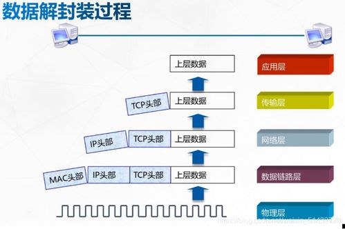 计算机网络的参考模型
